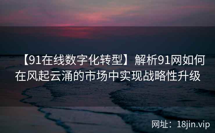 【91在线数字化转型】解析91网如何在风起云涌的市场中实现战略性升级