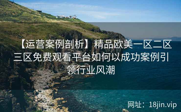 【运营案例剖析】精品欧美一区二区三区免费观看平台如何以成功案例引领行业风潮