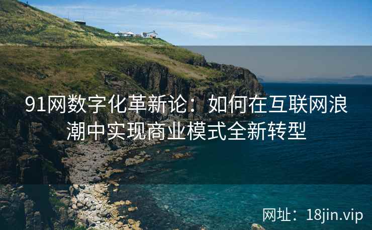 91网数字化革新论：如何在互联网浪潮中实现商业模式全新转型