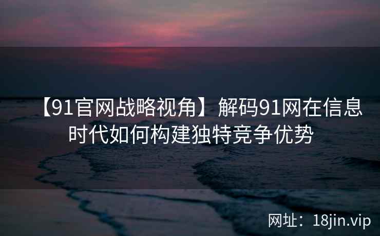 【91官网战略视角】解码91网在信息时代如何构建独特竞争优势