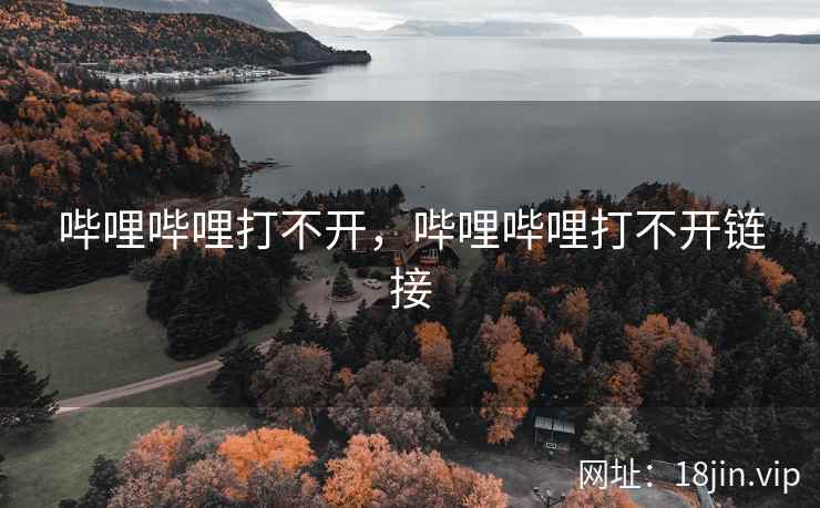 哔哩哔哩打不开，哔哩哔哩打不开链接