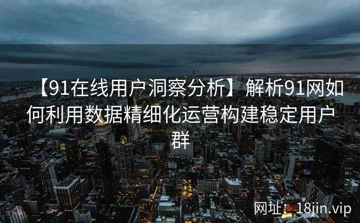 【91在线用户洞察分析】解析91网如何利用数据精细化运营构建稳定用户群