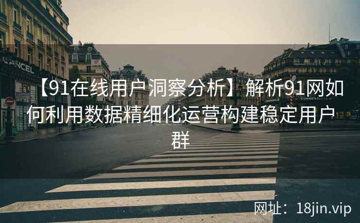 【91在线用户洞察分析】解析91网如何利用数据精细化运营构建稳定用户群