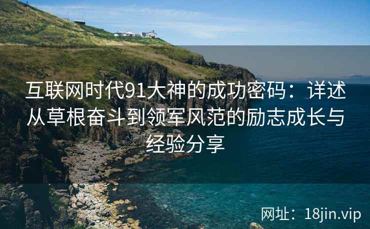 互联网时代91大神的成功密码：详述从草根奋斗到领军风范的励志成长与经验分享