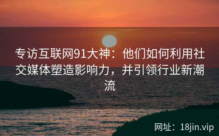 专访互联网91大神：他们如何利用社交媒体塑造影响力，并引领行业新潮流